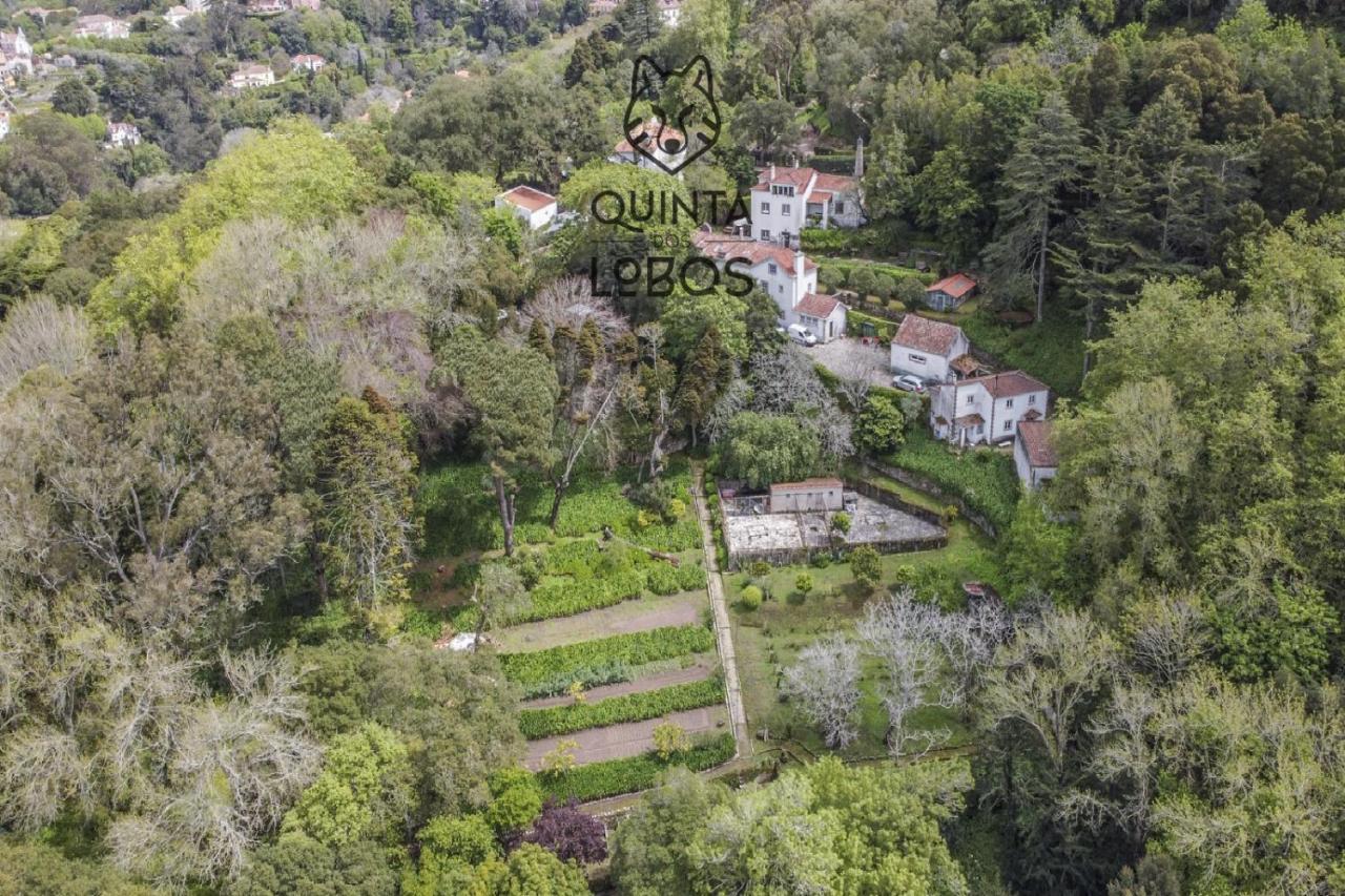 Quinta Dos Lobos Boutique Hotel - Nature Experience ซินตรา ภายนอก รูปภาพ